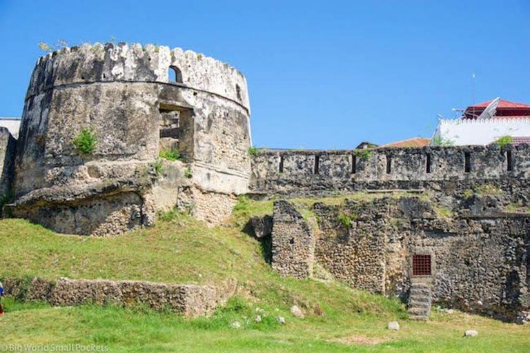 桑给巴尔：石头城、监狱岛和萨拉姆洞海龟