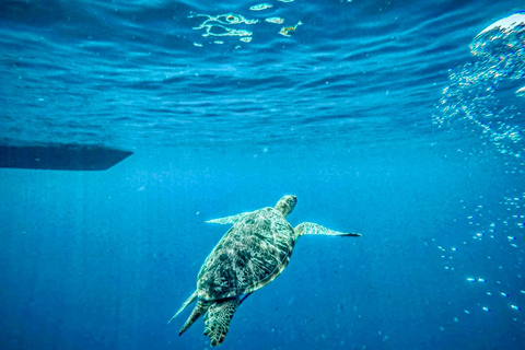 Lombok: Private Snorkeling,Gili Trawangan,Gili Meno,Gili Air Start From: Tetebatu/Lembar Port/Gili Mas Port