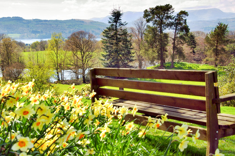 Au départ de Londres : Circuit dans le Lake District avec Cream Tea et croisièreVisite avec billet de 1ère classe