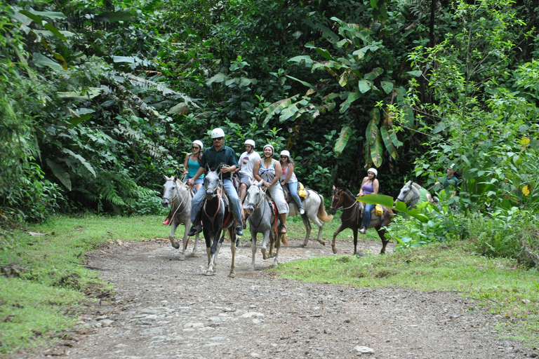 Quepos: paardrijden naar de Shaman-watervallen