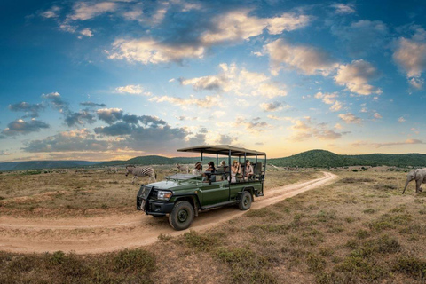 Kruger National Park 4 Day Safari fr Johannesburg & Pretoria