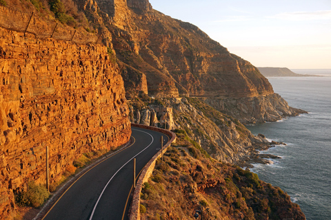 5-daagse rondreis door Zuid-Afrika: Kaapstad, safari en Garden Route5-daagse rondreis door Zuid-Afrika: Kaapstad, safari en de Tuinroute
