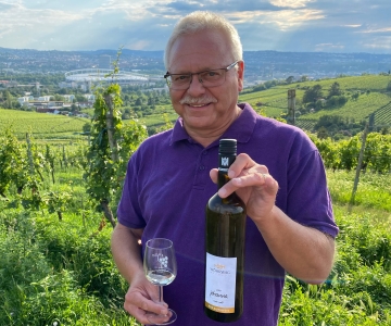 Stuttgart: Wine Tour amb vins dels millors viticultors