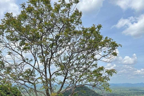 Kandy : Sigiriya Private Luxury Car Experience Heritage Tour Sigiriya, Dambulla & Village Cooking Private Tour