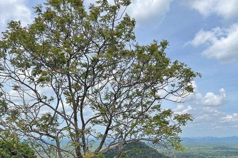 Kandy : Sigiriya Private Luxury Car Experience Heritage Tour Sigiriya, Dambulla & Village Cooking Private Tour