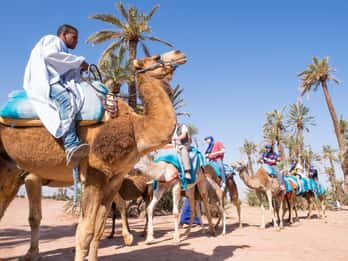Marrakesch: Kamelritt durch Palmenhaine & Steinwüste mit Tee Marrakesch: Kamelritt durch Palmenhaine & Steinwüste mit Tee