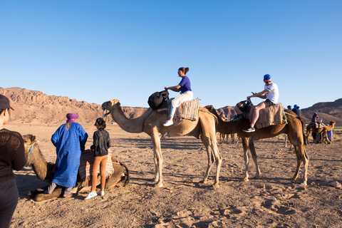 Depuis Marrakech : safari de 2 jours dans le désert à Zagora