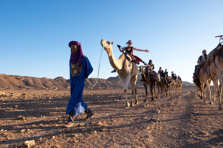 Depuis Marrakech : safari de 2 jours dans le désert à Zagora