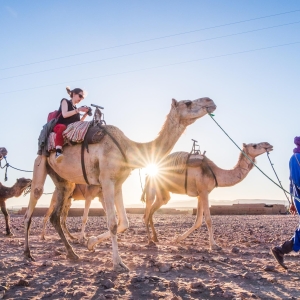 From Marrakech: Zagora 2-Day Desert Safari with Food & Camp