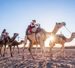 Desierto de Zagora: Excursiones de varios días desde Marrakech