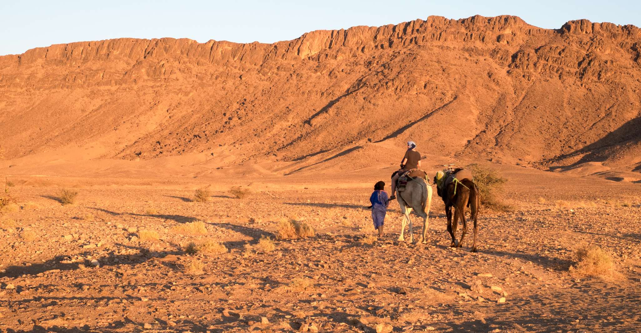 From Marrakech, Zagora 2-Day Desert Safari with Food & Camp - Housity