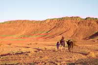 From Marrakech, Zagora 2-Day Desert Safari with Food & Camp - Housity