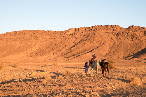 Depuis Marrakech : safari de 2 jours dans le désert à Zagora