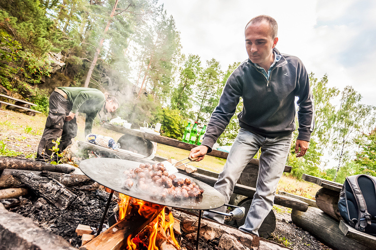 Depuis Stockholm : safari et dîner avec feu de camp