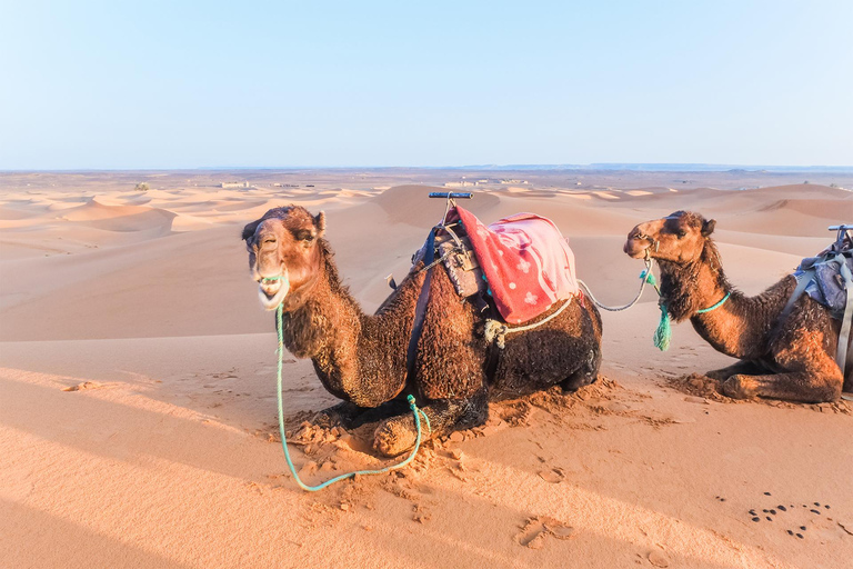 From Agadir : Private 2 Days Sahara Tour to Zagora Desert From Agadir : Unforgettable 2-Day Desert Tour To Zagora