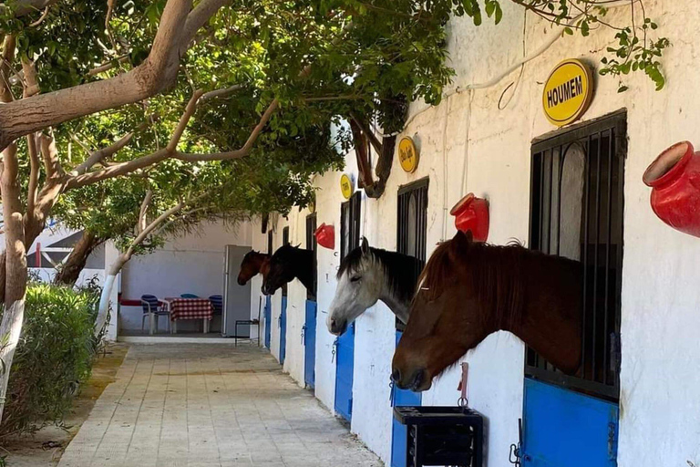 Hammamet : Beach horseback riding