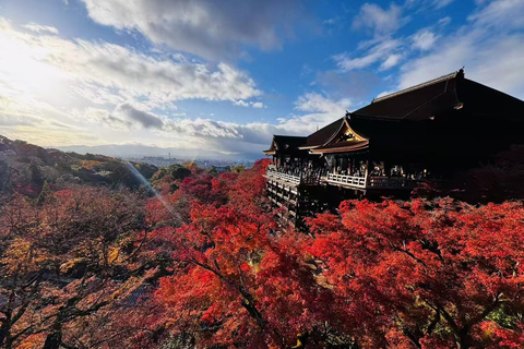 From Osaka: Kyoto and Nara Day Trip