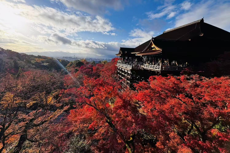 From Osaka: Kyoto and Nara Day Trip