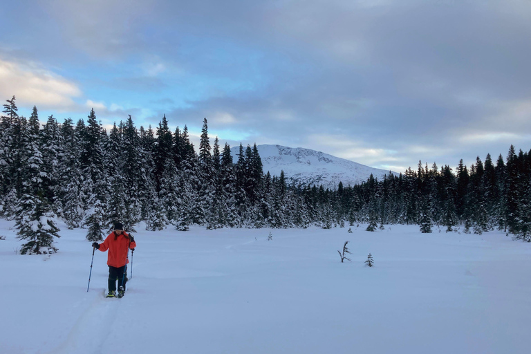 Guided Snowshoeing Adventure from Seward, Alaska 6-Hour Tour