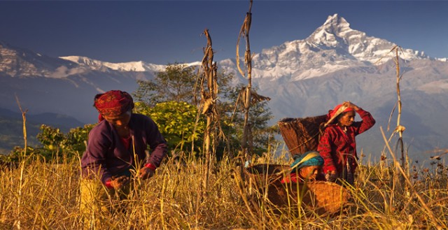 Visit Day Hike at Annapurna Foothills in Pokhara