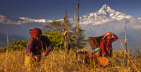 Day Hike at Annapurna Foothills - Housity