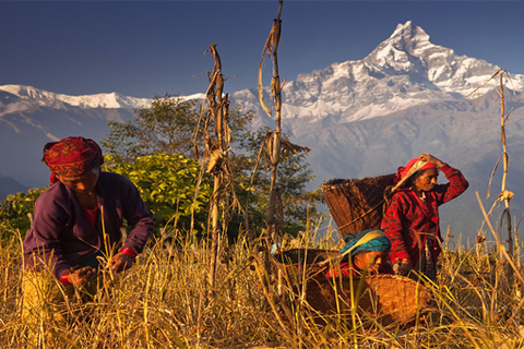 Dag Wandeling bij Annapurna Foothills