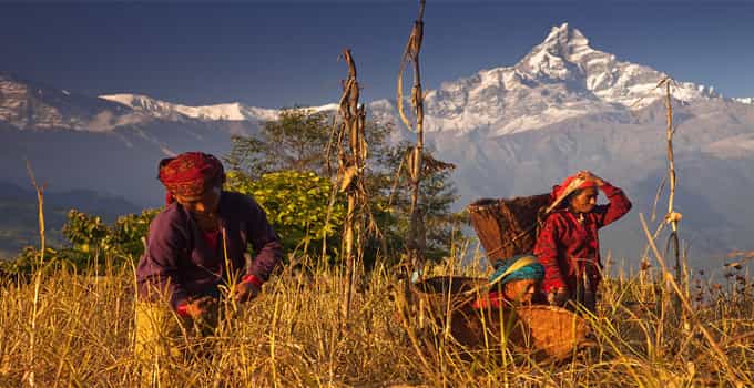 day hike at annapurna foothills