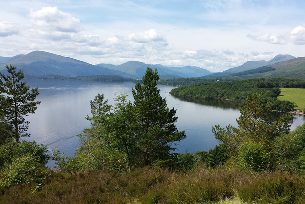 Tour del castello di Stirling, dei laghi delle Highlands e del whisky da Edimburgo