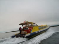 Magdalena Island Penguin Tour en bateau depuis Punta Arenas - Housity