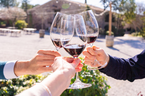 Barcelona: Montserrat, Winery Tour & Lunch with Wine Tasting