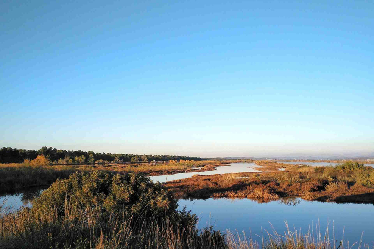 تيرانا: جولة إرشادية في منتزه دوريس وديفجاك-كارافاستا الوطنيتيرانا: جولة إرشادية في منتزه دوريس ود