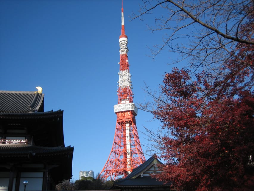 Tokyo tour. Токио экскурсии.