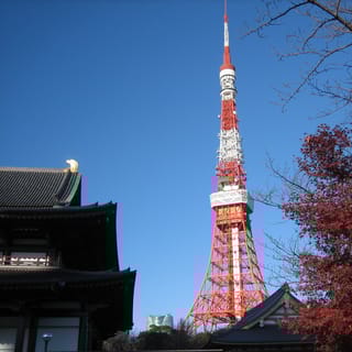 Tokyo: tour di un giorno con un furgone privato