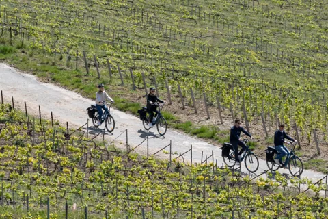 Din Reims: Turul de după-amiază al șampaniei cu E-Bike