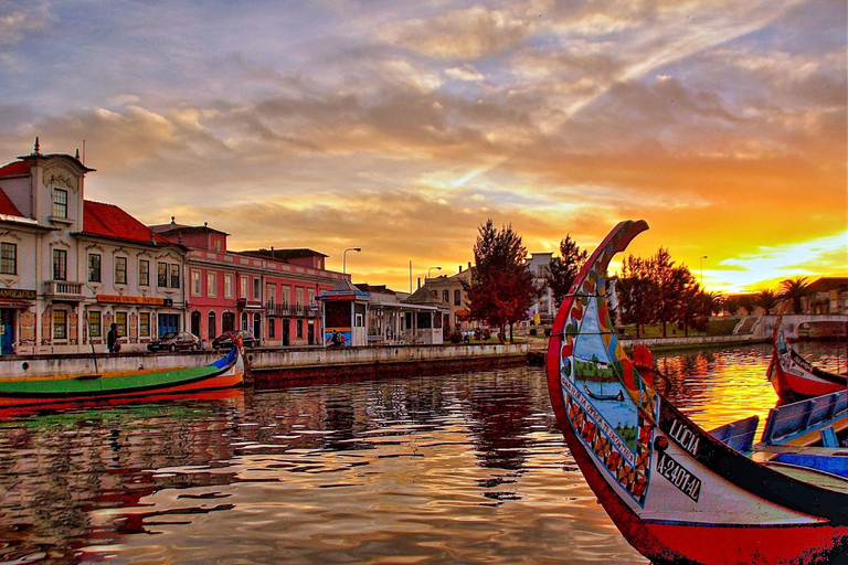 From Lisbon: Full-Day Aveiro & Ilhavo Private Tour