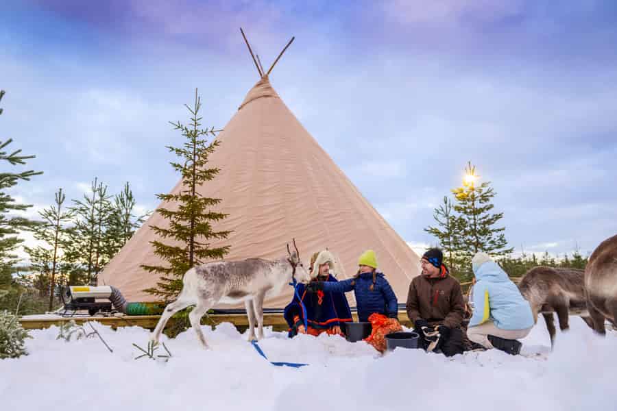 Luleå: Triff und füttere die Rentiere – Kurzer Ausflug. Foto: GetYourGuide