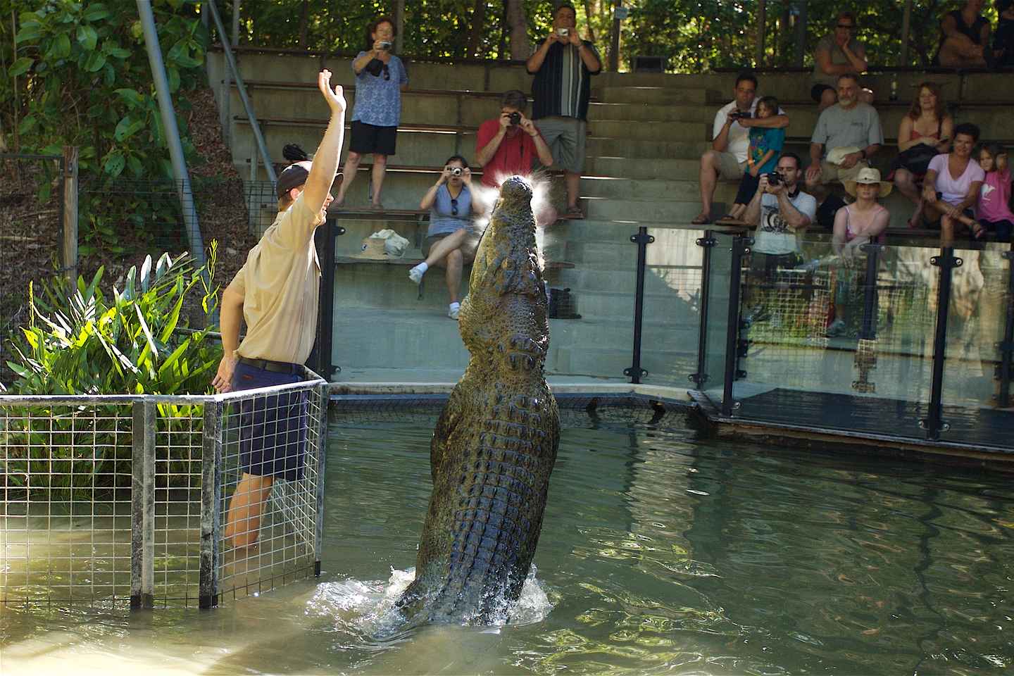 Kuranda & Hartley's Crocodile Adventures - Kuranda & Hartley's Crocodile Adventures