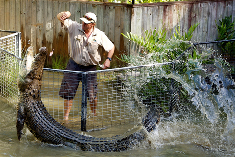 Aventuras de cocodrilos en Kuranda y Hartley