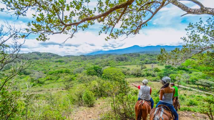 vida aventura nature park experience