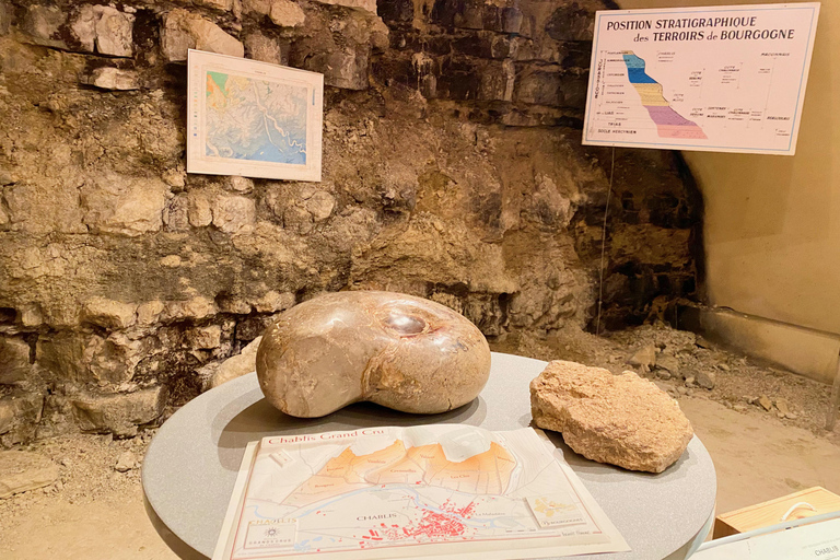 Burgundia prywatna 3 domeny Chateau Pommard Chablis 15 winPrywatna jednodniowa wycieczka do Chablis Chateau de Pommard