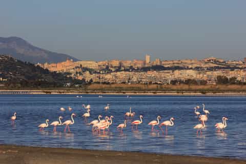 From Cagliari: West Beaches Tour