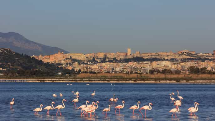 sardegna tour delle spiagge occidentali da cagliari