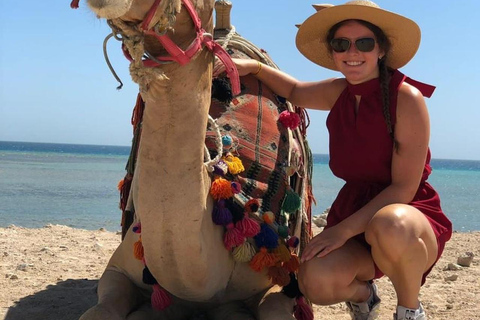 Hurghada: Camel Ride Vibes -The Ultimate Desert Experience 2-Hour Desert & Beach Camel Ride with Transfers