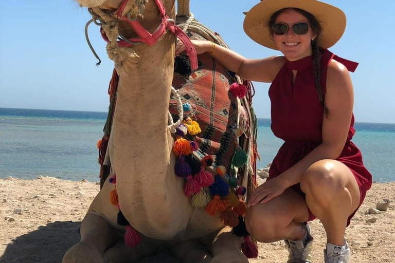 Hurghada: Camel Ride Vibes -The Ultimate Desert Experience 1-Hour Desert & Beach Camel Ride with Transfers