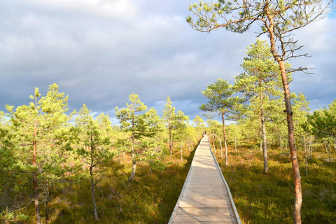 Discover Estonia – car tour to Viru bog and to waterfalls.