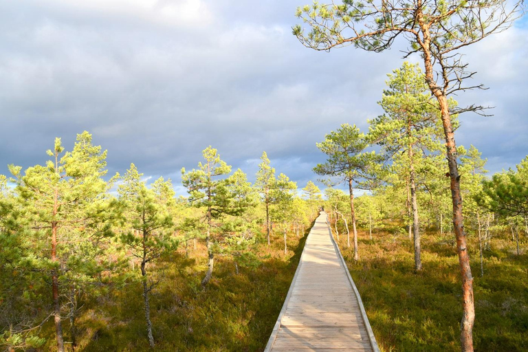 Discover Estonia – car tour to Viru bog and to waterfalls.