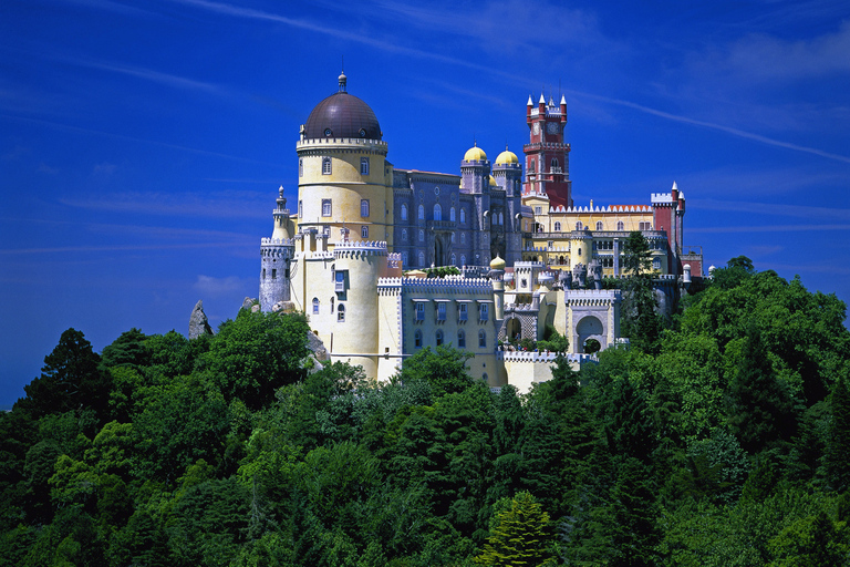 Da Lisbona: tour privato di mezza giornata a Sintra Cascais