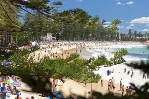 iVenture Sydney Attractions Flexi Pass