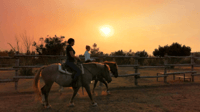 7 días Bosnia Montaña Caballo Trekking Retiro - Hizvo