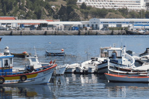 fullday arrábida park private tour from lisbon